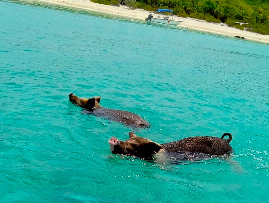 Sandbar with shallow turquoise water